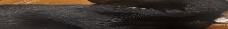 meandmental banner