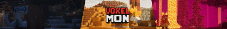 VoxelMon banner