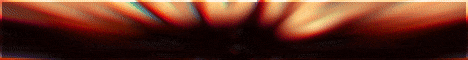 PokeDigital banner