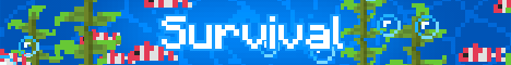 Beach Craft banner