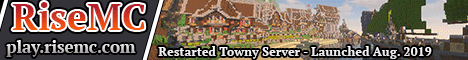 RiseMC banner