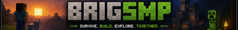 Brig Smp banner