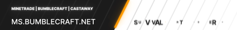 BumbleCraft banner