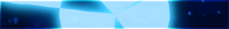 Paradise Network banner