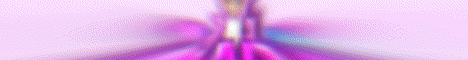 ZedarMC banner
