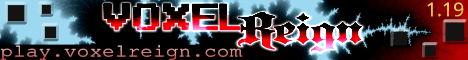 Voxel Reign banner