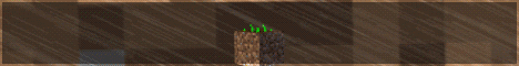 DirtMC banner
