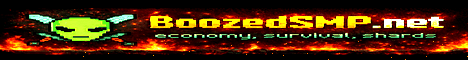 Boozed SMP banner