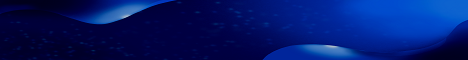 Blue Rockets banner