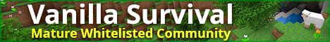 SiteB Vanilla SMP banner