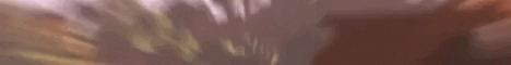 cjsv.hidenfree.com banner