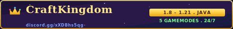 CraftKingdom banner