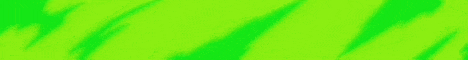 Limonixsmp banner