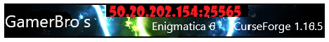 GamerBro Enigmatica 8 banner