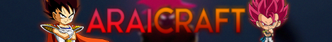 Dragon Block C Arai Craft banner