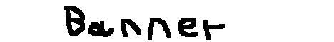 FloweryCraft banner