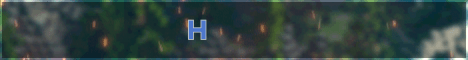 Hawke banner