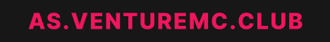 VentureMC banner