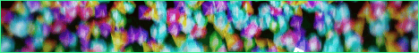 Chunky Monkey banner