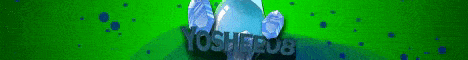 Yoshee08 Network banner