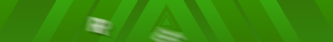 RevivalMC banner