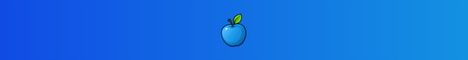 Cocap SMP banner