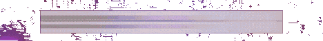 CobbleX banner