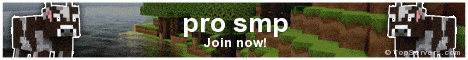 pro smp banner