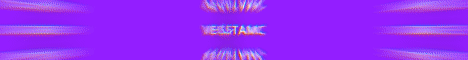 VegetaMC banner
