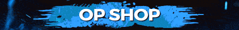 skyblock.in banner