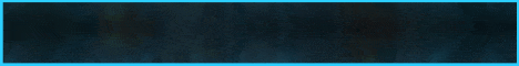 BlizardMC banner