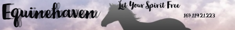 Equinehaven banner