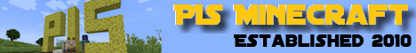 PIS Minecraft banner