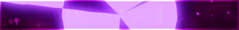 BakloliSmp banner