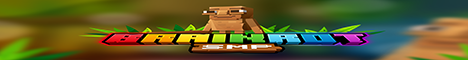 Brainrot SMP banner
