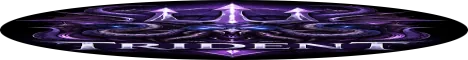 Trident Custom 317 banner