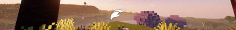FelipeMC banner