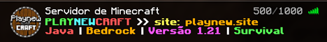 PlayNewCraft banner