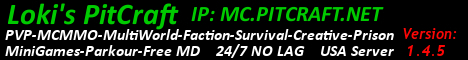 PitCraft banner