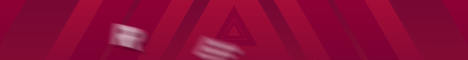 ReallifeMC banner