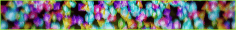 Kaddu Mc banner