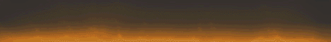RandomSkyBlock banner