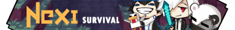 Nexi banner