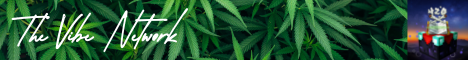 The Vibe Network banner