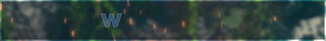 Wildspire Skyblock banner