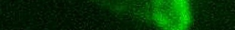 World Of Warcraft The Plague Returns banner