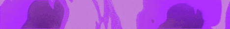 Minexus Network banner