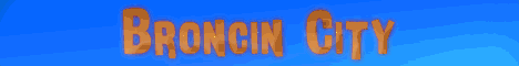 Broncin banner