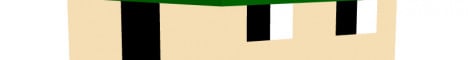 LamaSMP banner