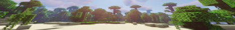 DiamondCraft banner